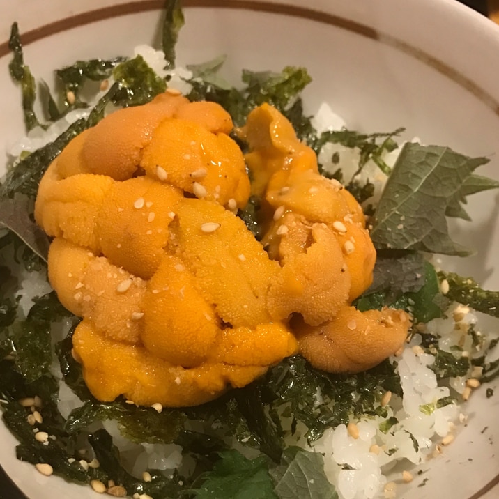 薬味ありで本格的に 贅沢ウニ丼 レシピ 作り方 By おれんじちゃん 楽天レシピ 薬味ありで本格的に 贅沢ウニ丼 レシピ 作り方 By おれんじちゃん 楽天レシピ